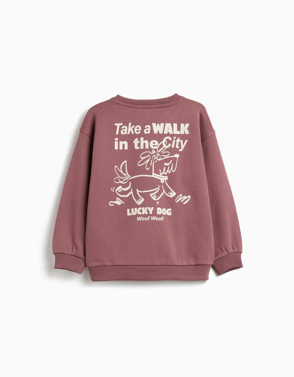 Dark Red Boys' Plush Sweatshirt