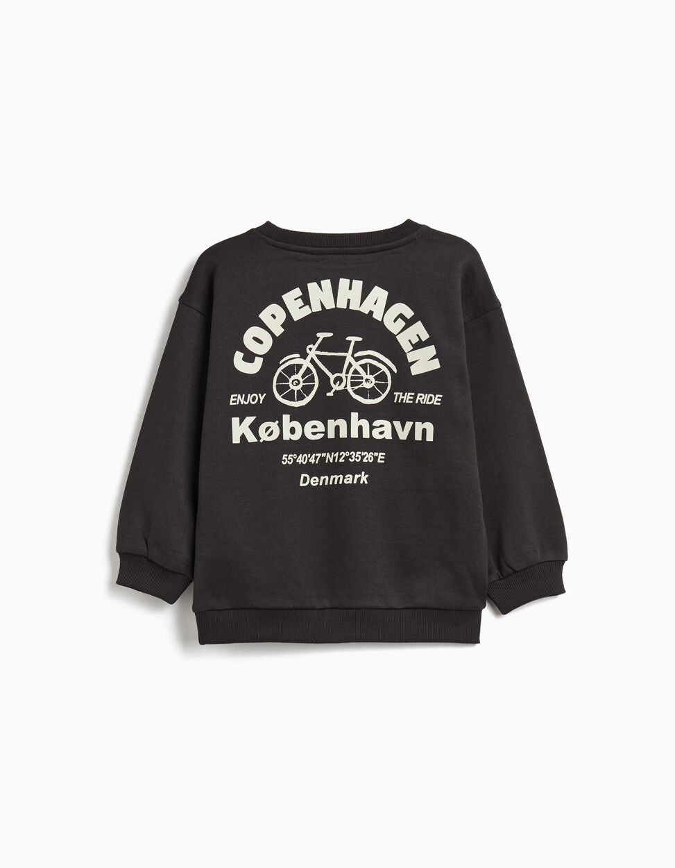 Dark Gray Boys' Plush Sweatshirt