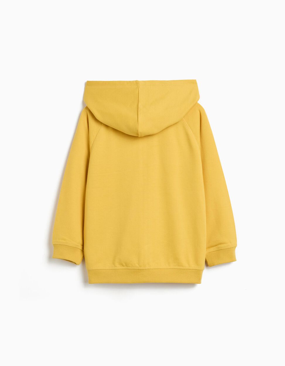Hooded Jacket, Boy, Light Yellow