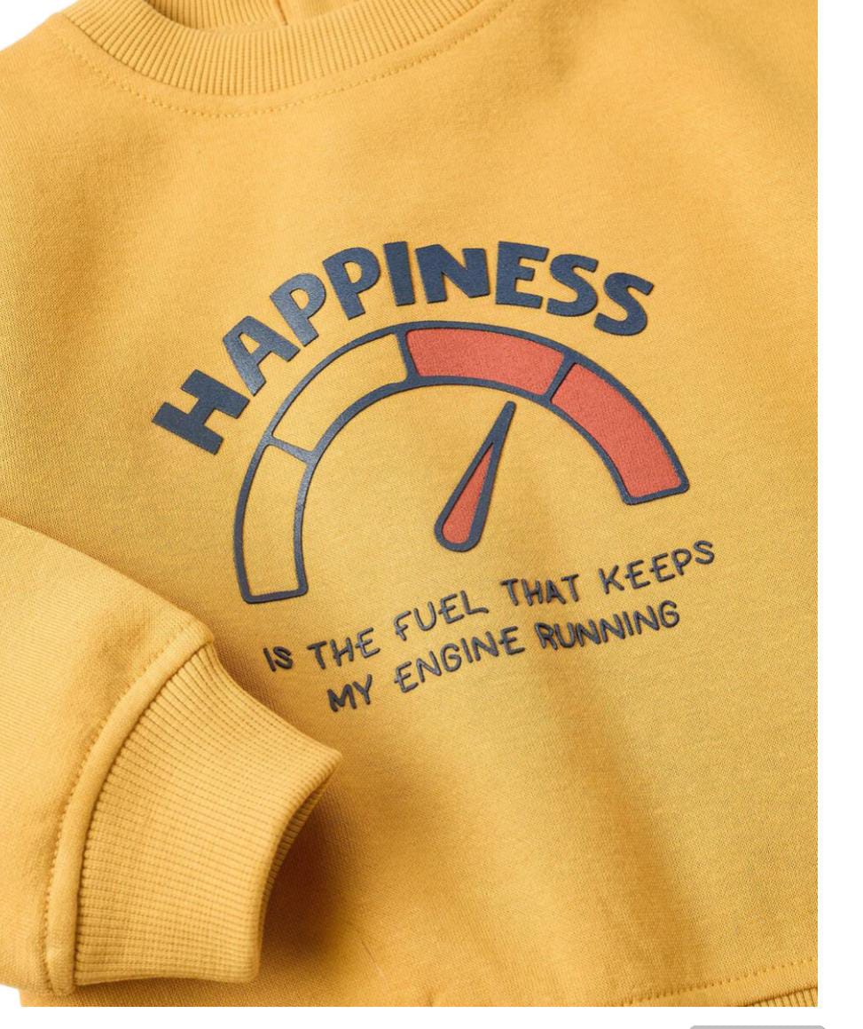 Fleece Sweatshirt for Baby Boys 'Happiness', Yellow