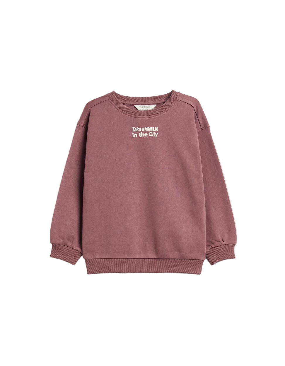 Dark Red Boys' Plush Sweatshirt