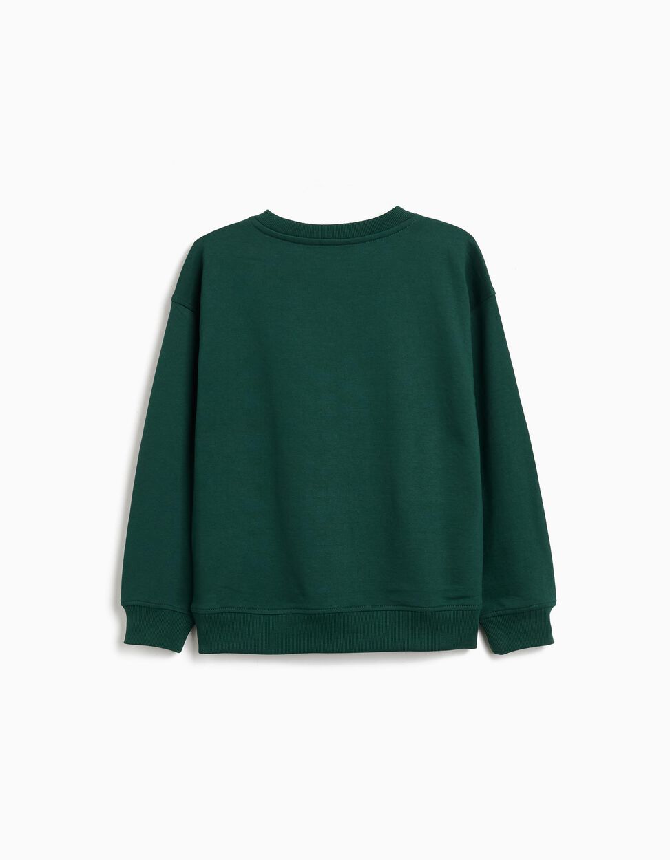 Green Boy's Plush Sweatshirt