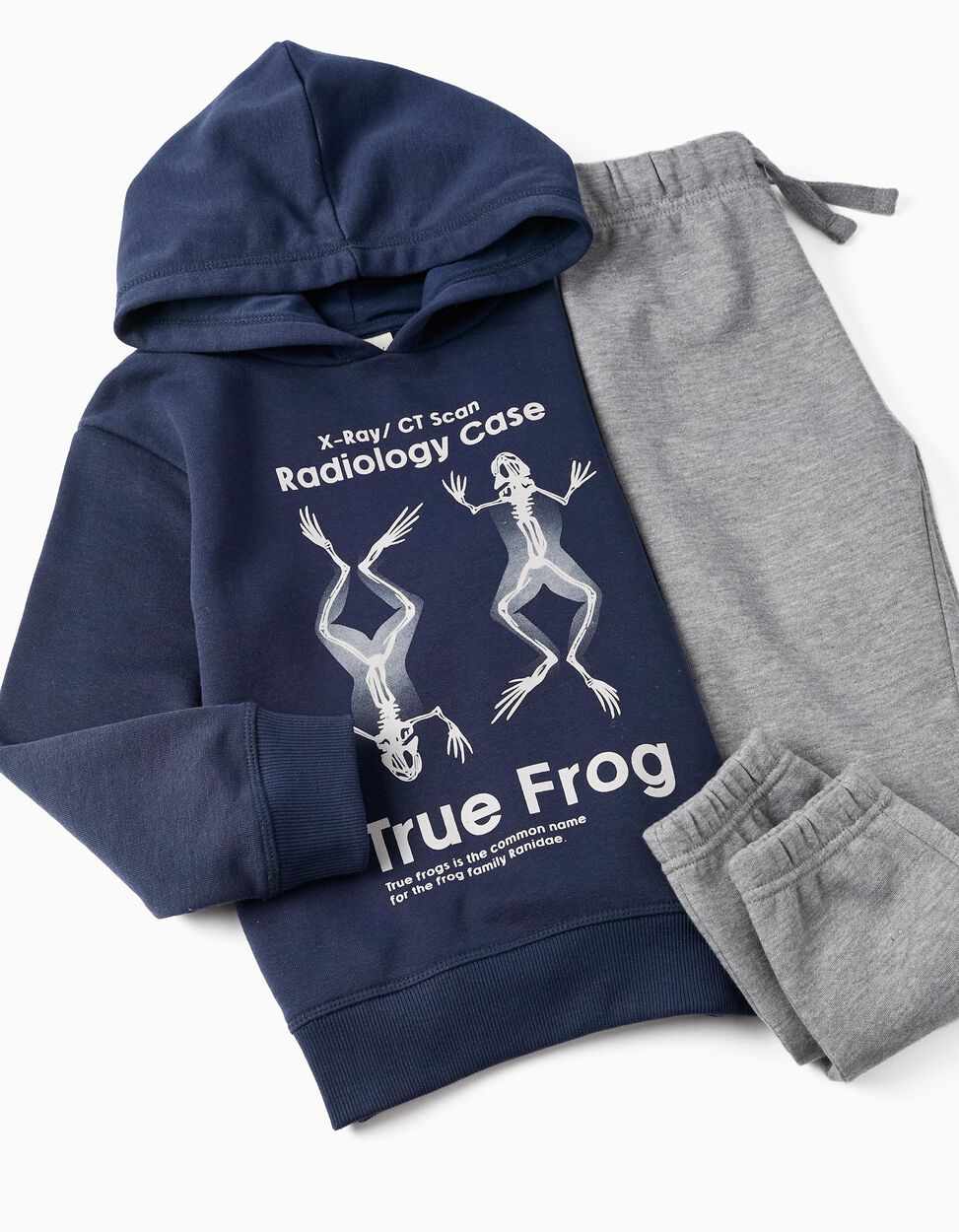 Boy's Tracksuit 'True Frog', Blue/Grey