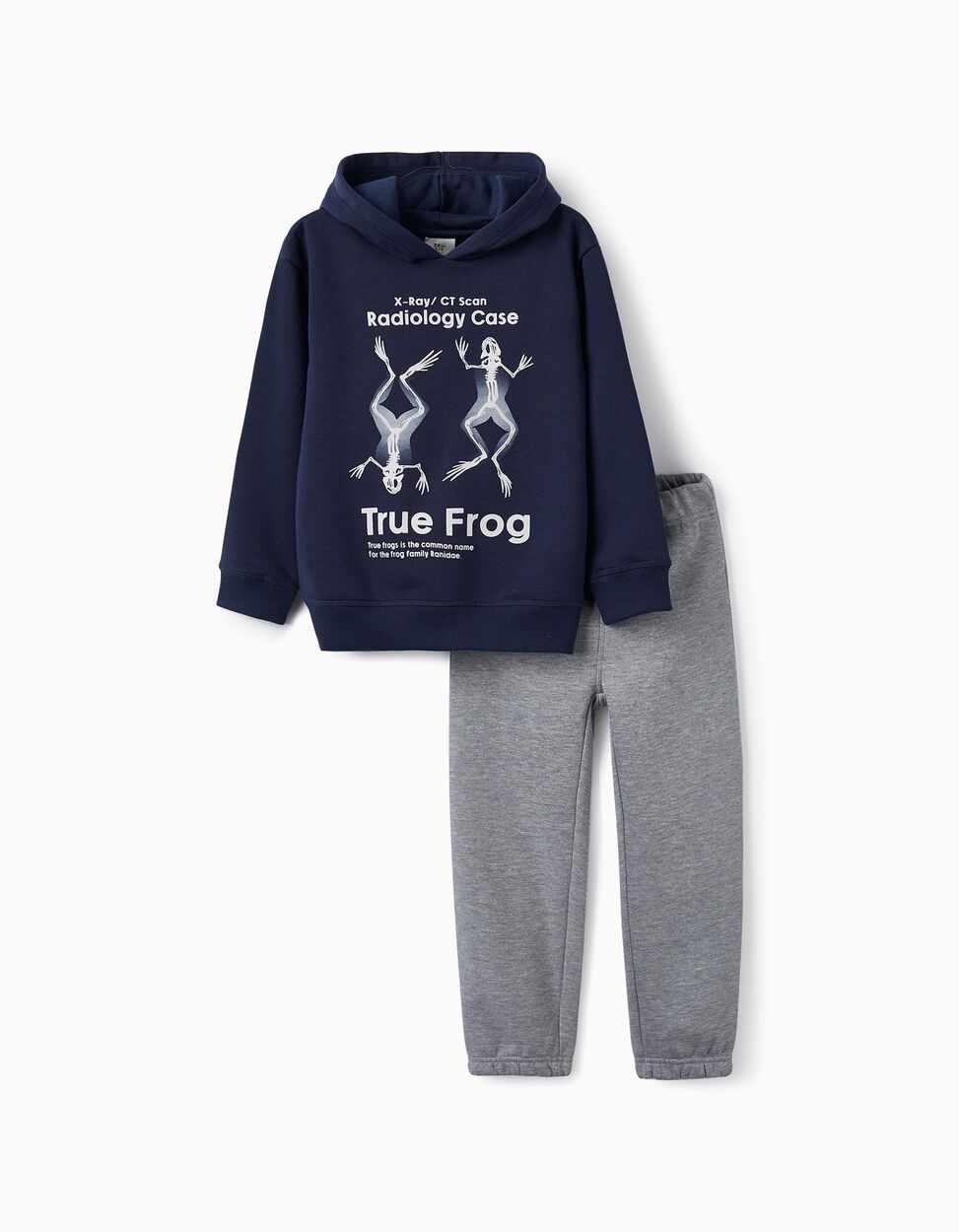 Boy's Tracksuit 'True Frog', Blue/Grey