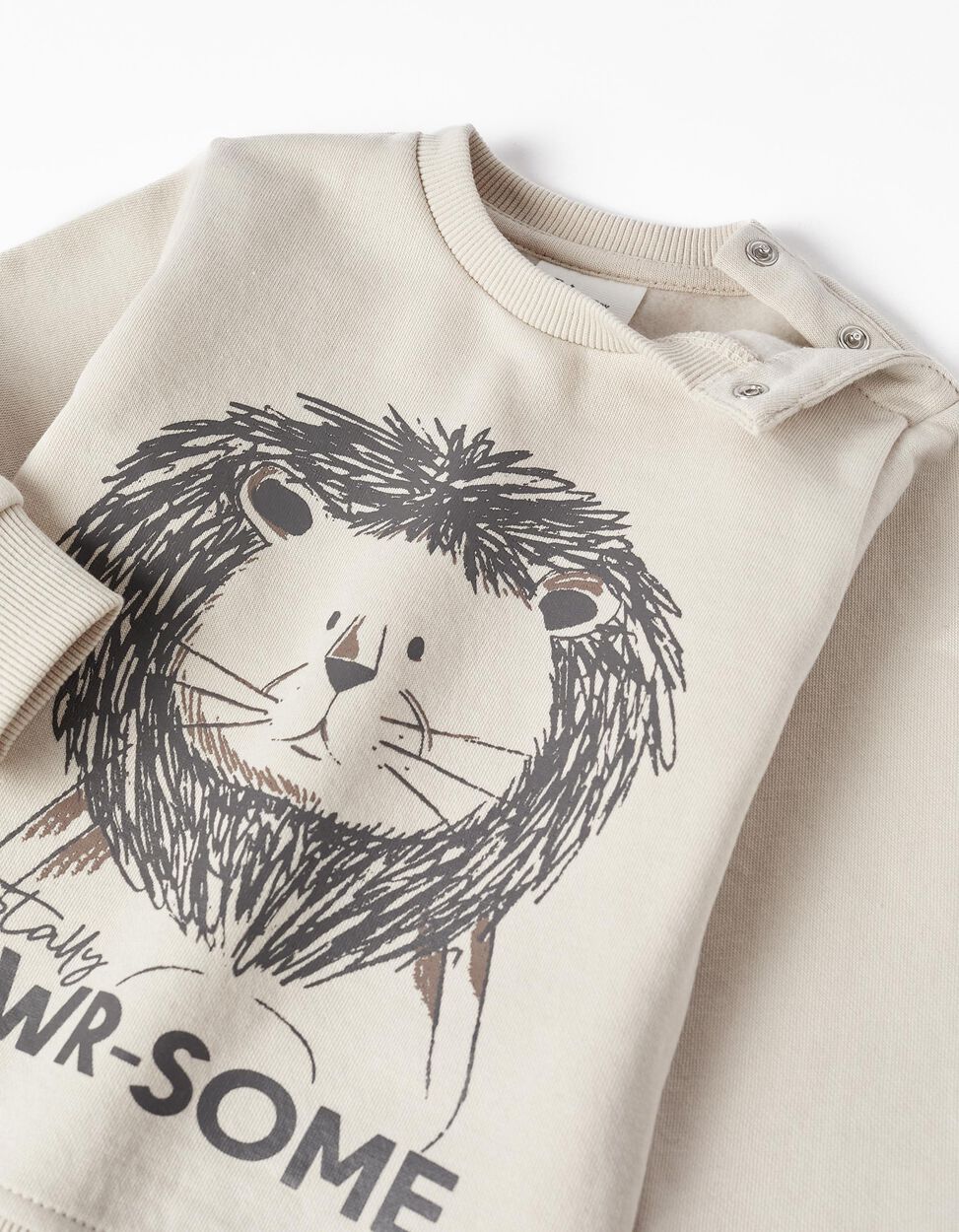 TRACKSUIT FOR BABY BOYS 'TOTALLY RAWR-SOME', BEIGE/DARK GREY